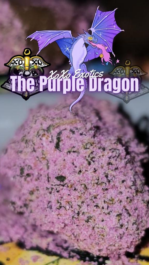 Purple Dragon
