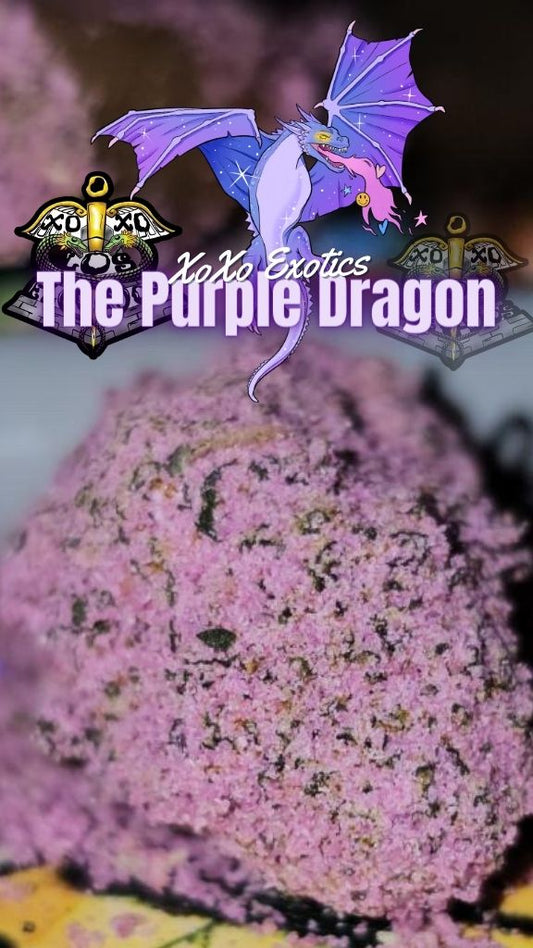 Purple Dragon
